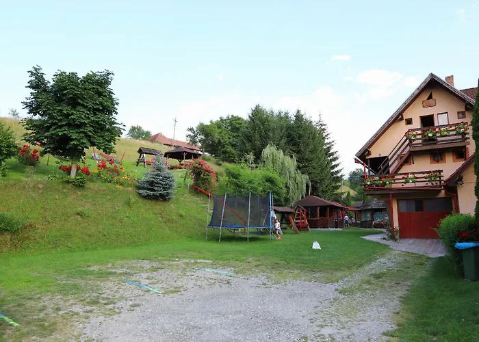 Pensiunea Dealul Frumos Bran 