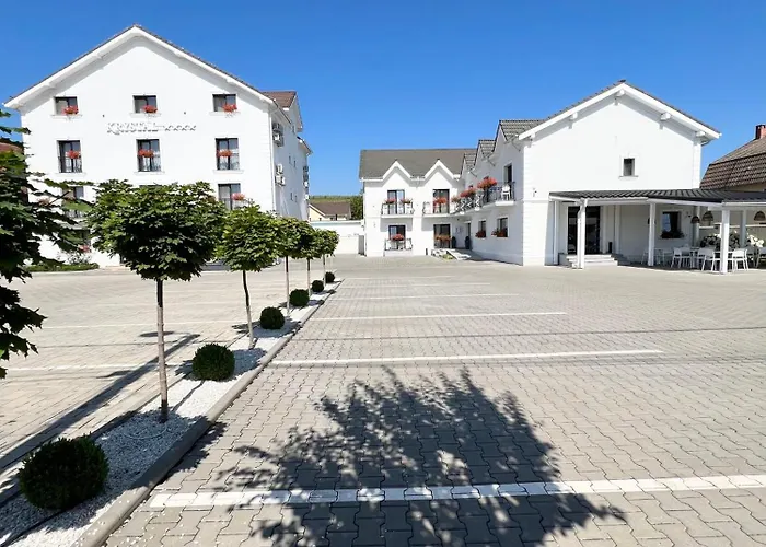 Krystal Boutique Mansion Hotel Hunedoara