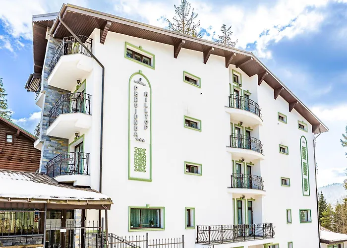 Pensiunea Hilltop Predeal