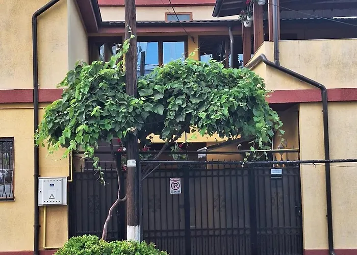 Vila Trandafir Constanţa