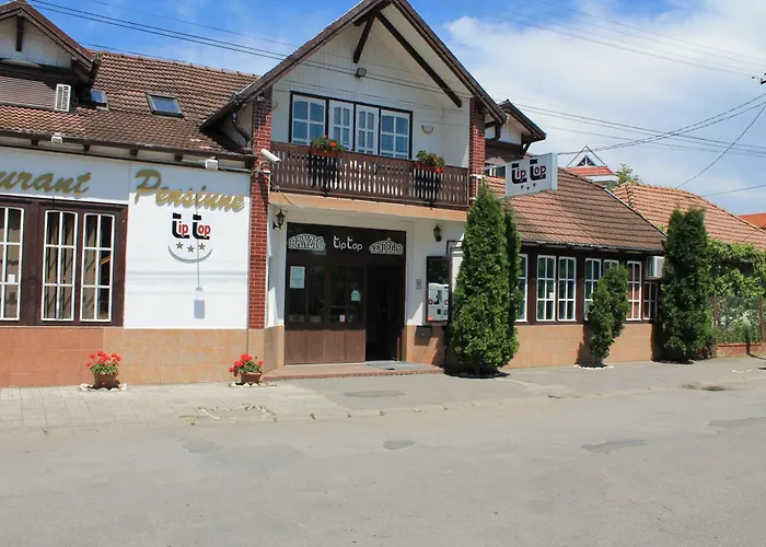 Pension Tip-Top Târgu-Mureş