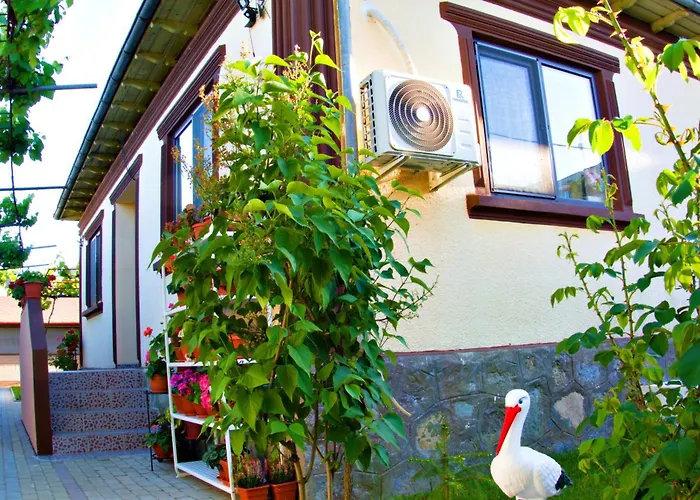 Căsuța Lui Ion Hotel Sulina