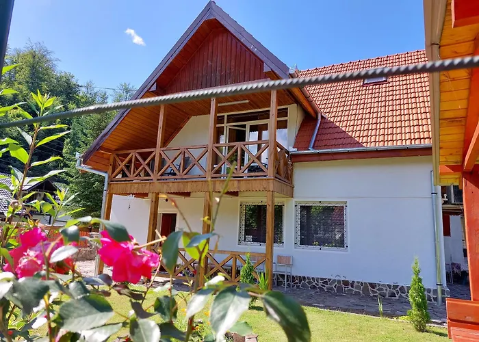 Dor de Munte Transfăgarasan Hotel Cîrţişoara