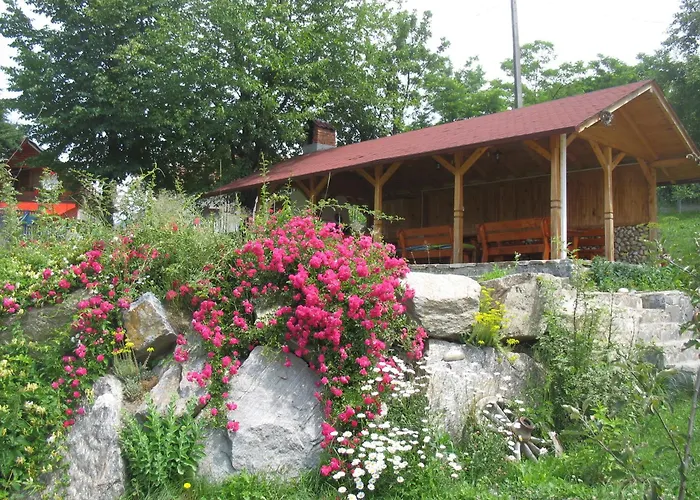 Pension Irina Arefu