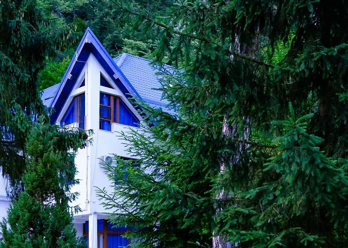 Hotel Parc Geoagiu Băi