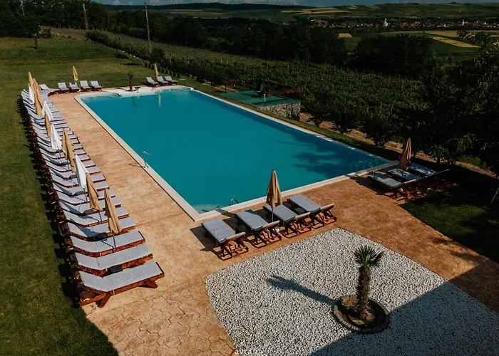 Pensiunea La Vie Blaj