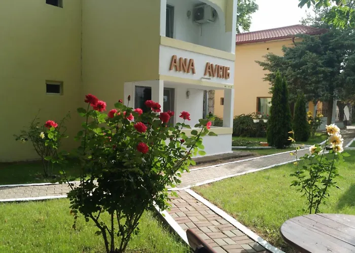 Ana Avrig Hotel Venus