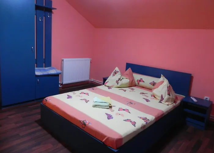 Pension Puiu Dunavăţu de Jos