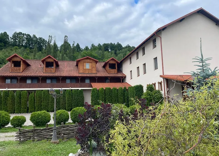Pensiunea Cosău Ocna Şugatag