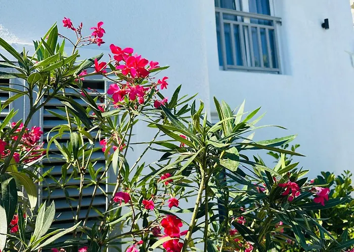 Tagoo Vama Veche Hotel