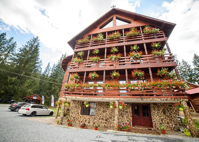 Casa Binu Hotel Arieşeni