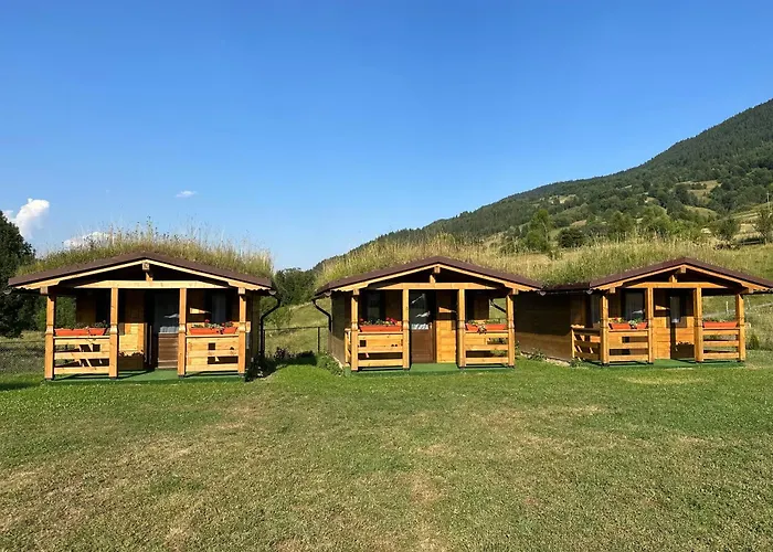 Pensiunea Casa Iancului Vidra 