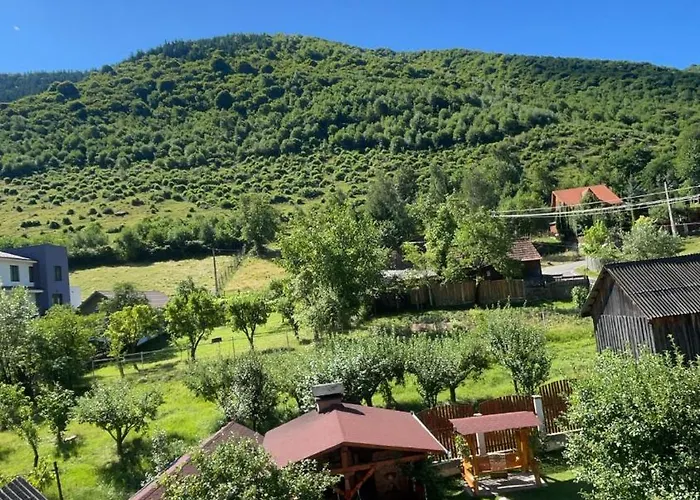 Pensiunea Vătafu Gura Râului