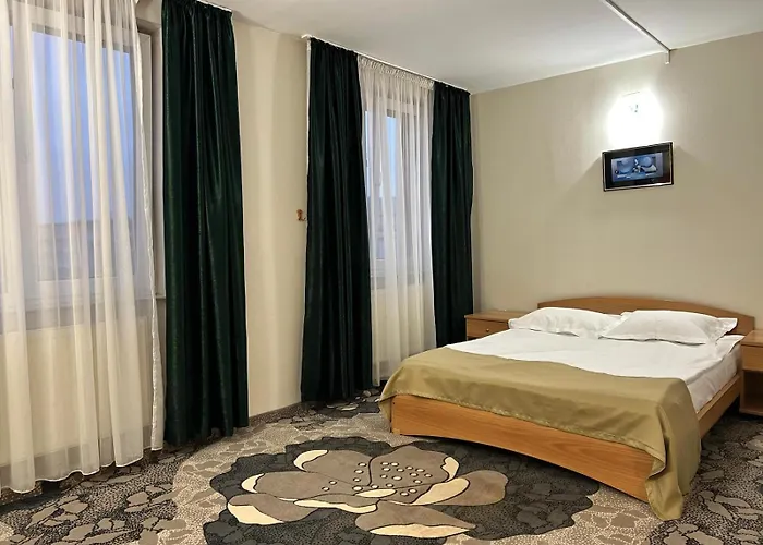 Hotel Bistrita Bacău