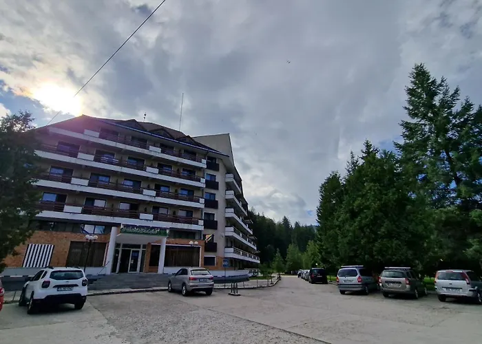 Hotel Bradul - Covasna