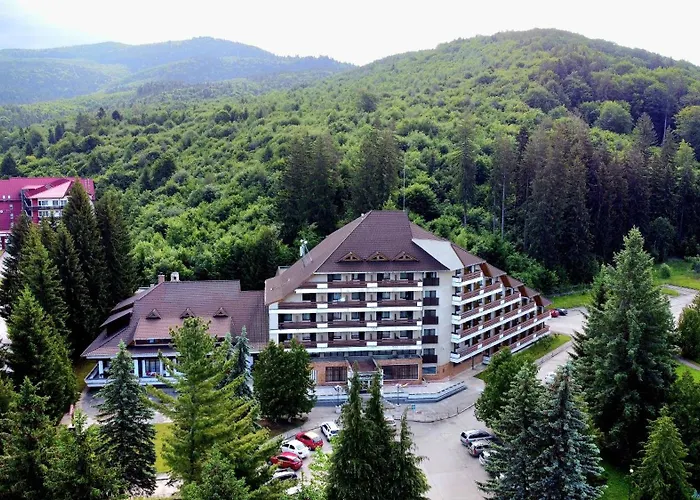 Hotel Bradul - Covasna