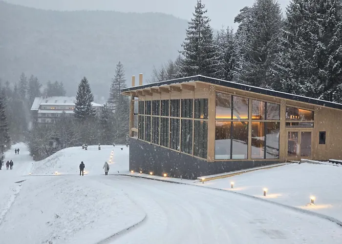 Monte Cervo Bio Hotel & Spa Covasna