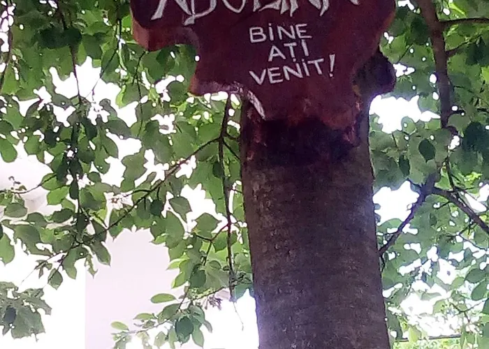 Casa Adelina Hotel Băile Herculane