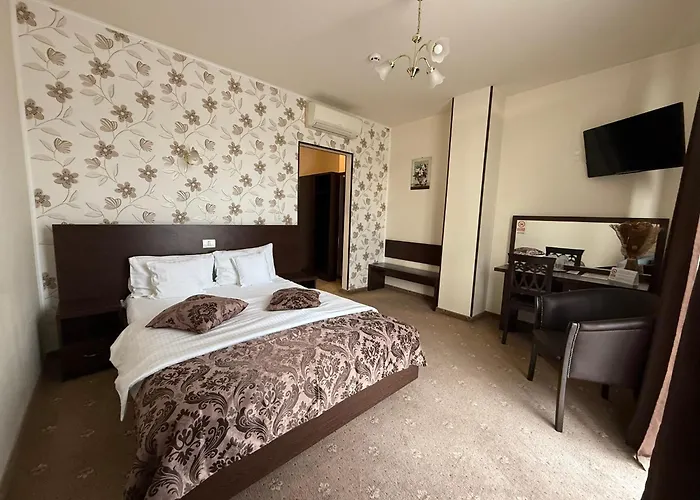 Hotel Miky Arad