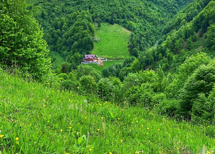 Pensiunea Valea Râsului Rucăr