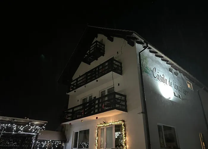 Căsuța de lângă izvor Hotel Moeciu De Sus