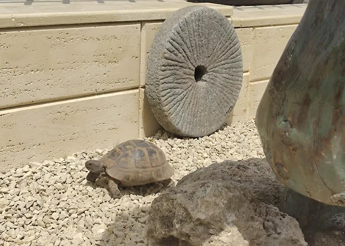 La Doi Pasi De Mare Hotel Vama Veche