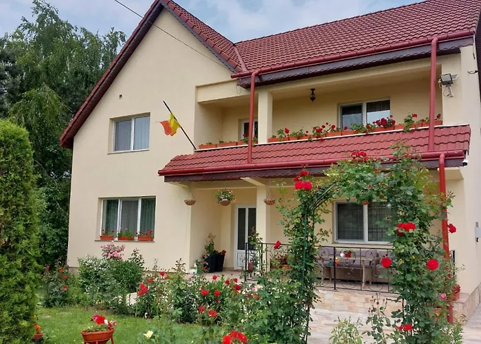 Steaua Nordului Hotel Târgu Neamţ