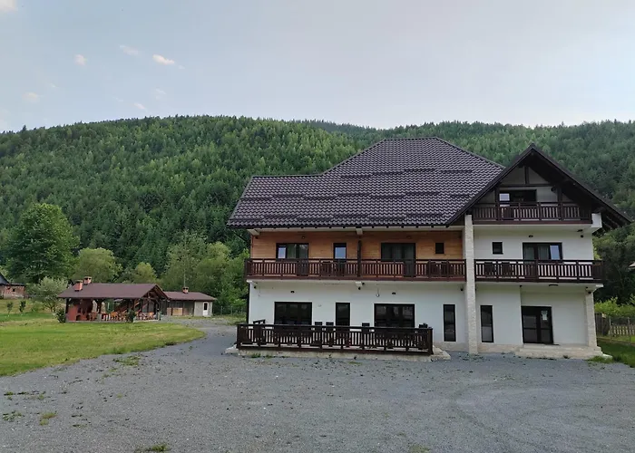 Pensiunea Armonia Albac