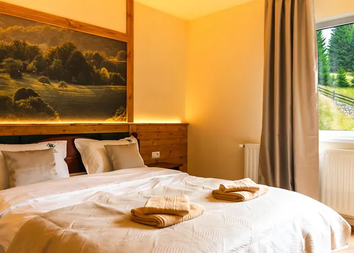 Pensiunea Poienita Ursului Fundata