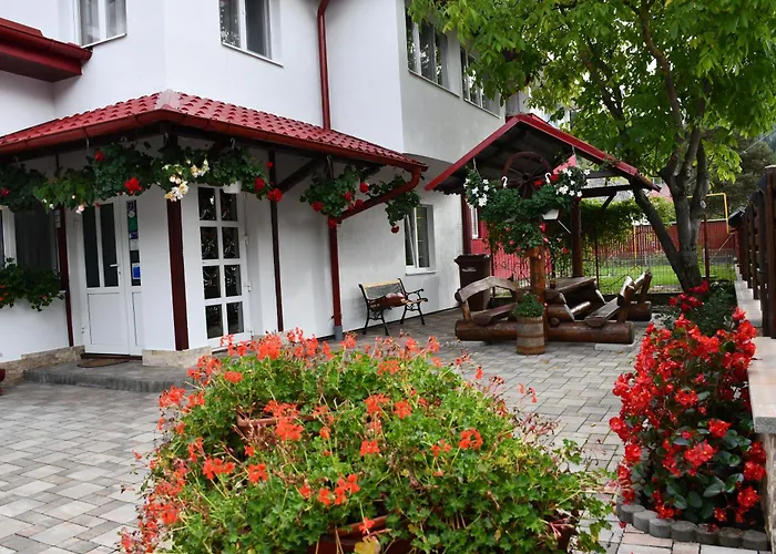 Pensiunea Casa Alexandra Vatra Dornei