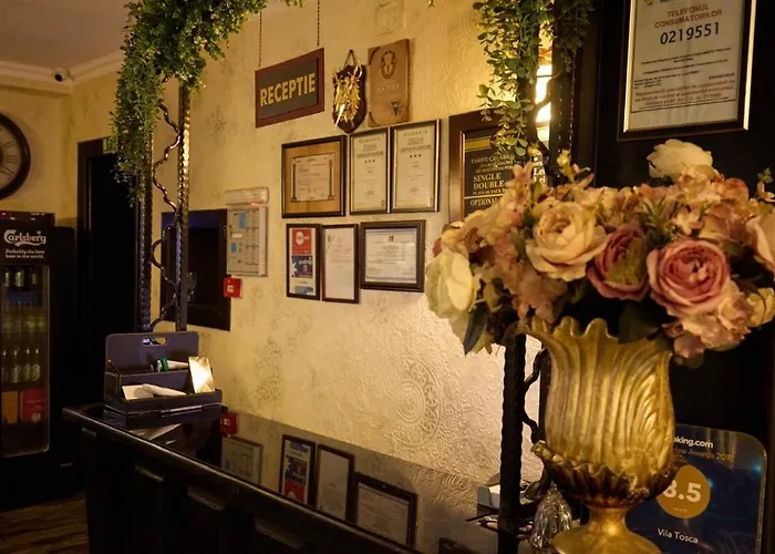 Pensiune Turistica Tosca Bacău