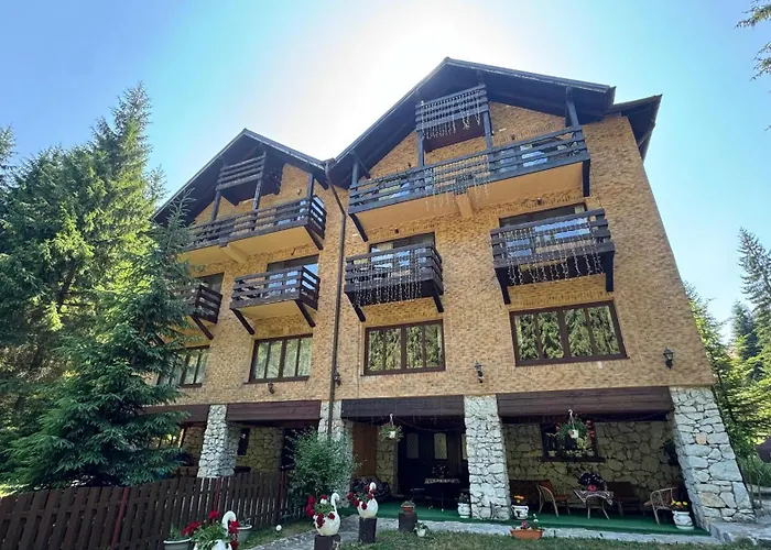 Casa De Vis Hotel Arieşeni