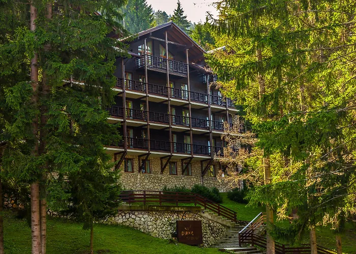 Ana Hotels Bradul Poiana Braşov