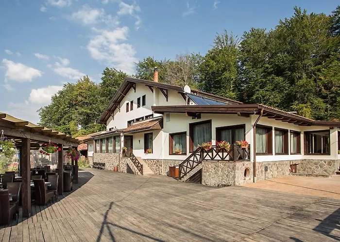 Domeniul Dâmbu Morii Hotel Timişu de Jos