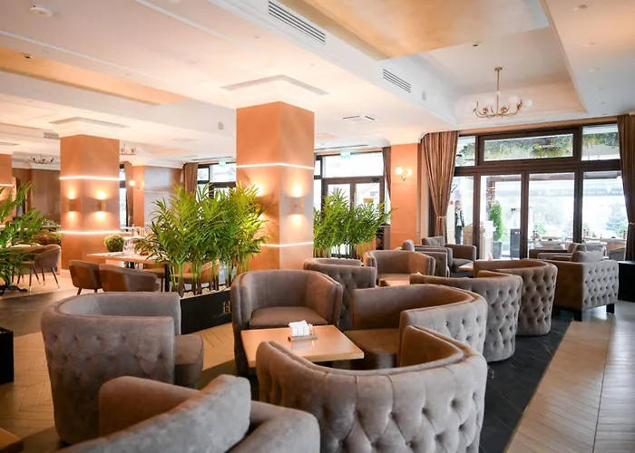 Hotel Gabriela Vişeu de Sus