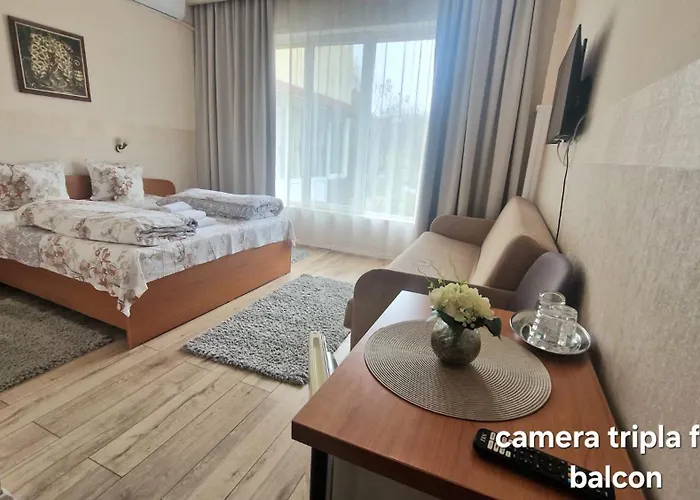 Pensiunea Veronica Băile Felix