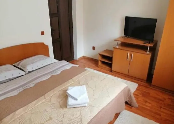 Casa Bia Hotel Vatra Dornei