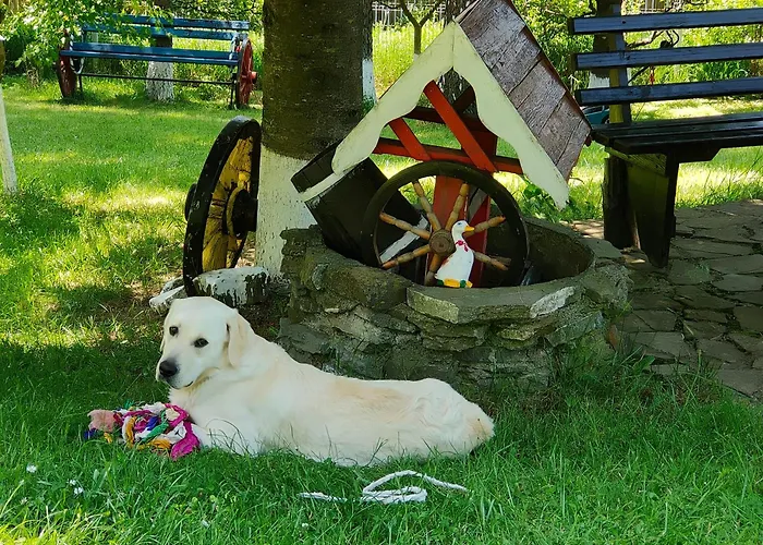 pensiunea Gabriela Durău