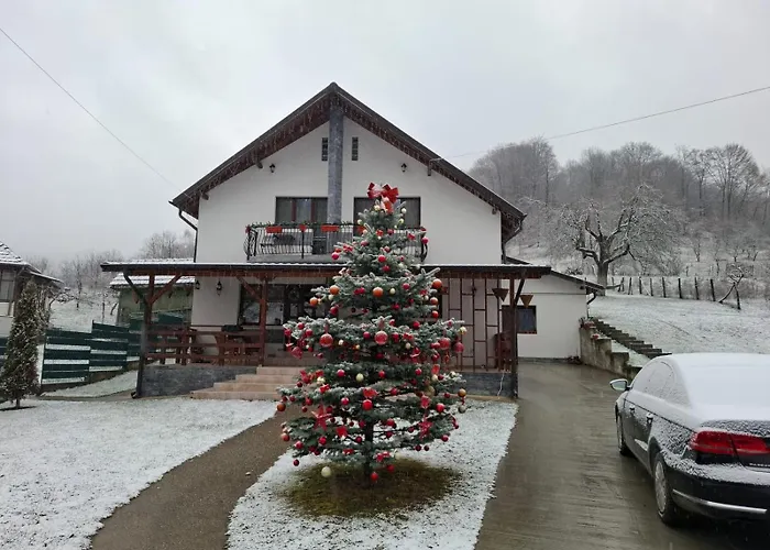 Casa Alex Hotel Curtea de Argeş