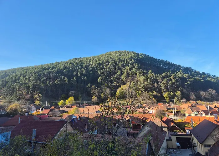 pensiunea carul mare Răşinari