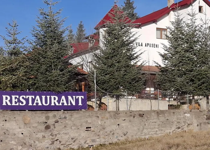 Vila Apuseni Arieşeni