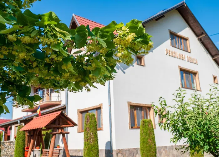Pensiunea Denisa Sîmbăta de Sus