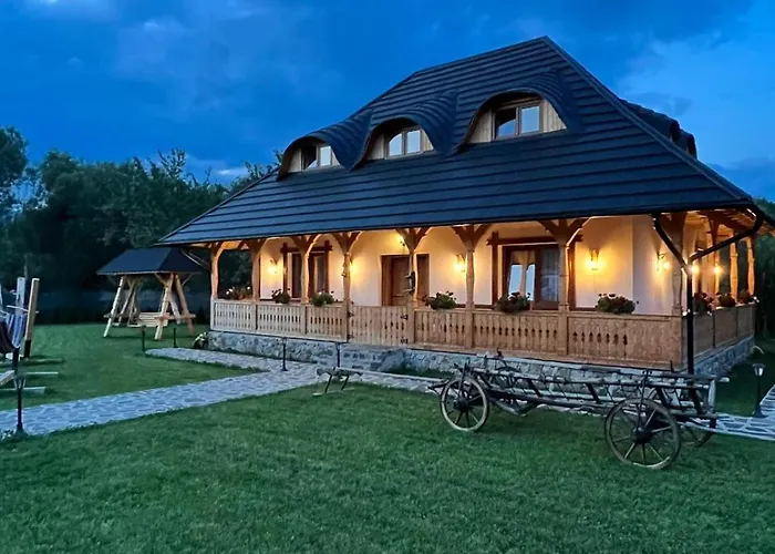 Casa Moroșanului Vișeu de Sus Hotel