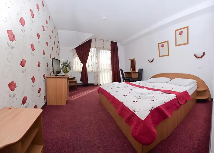 Pensiunea Moldova Piatra Neamţ