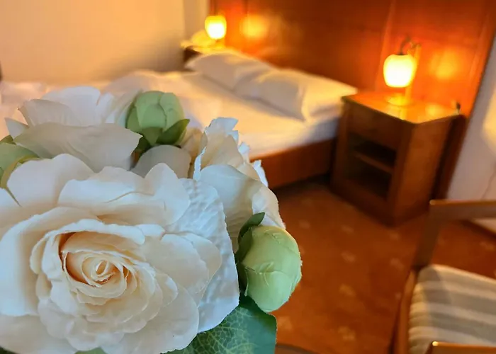 Hotel Emma West Craiova