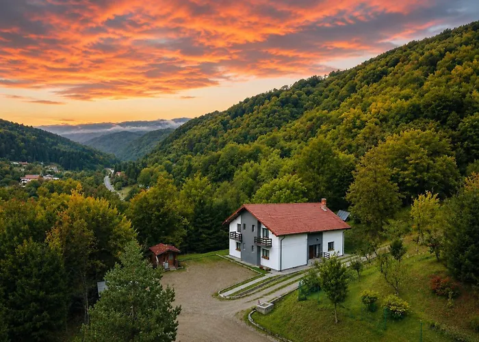 Vila Poiana Verde Slănic Moldova