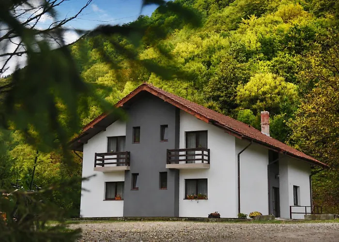 Vila Poiana Verde Slănic Moldova