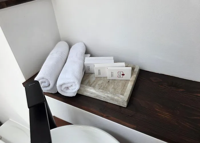 Podu' cu Lanturi Hotel Bacău