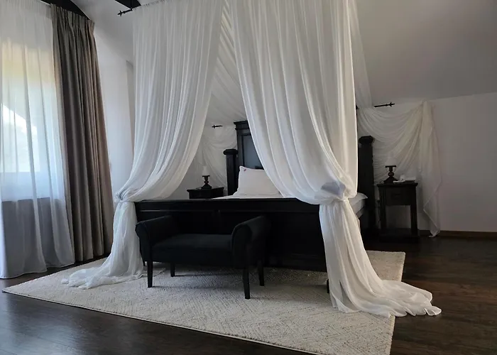 Podu' cu Lanturi Hotel Bacău