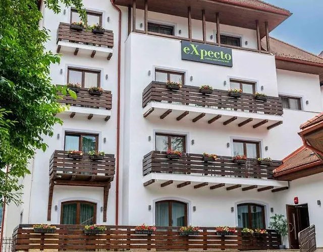 Expecto Apartments Sinaia